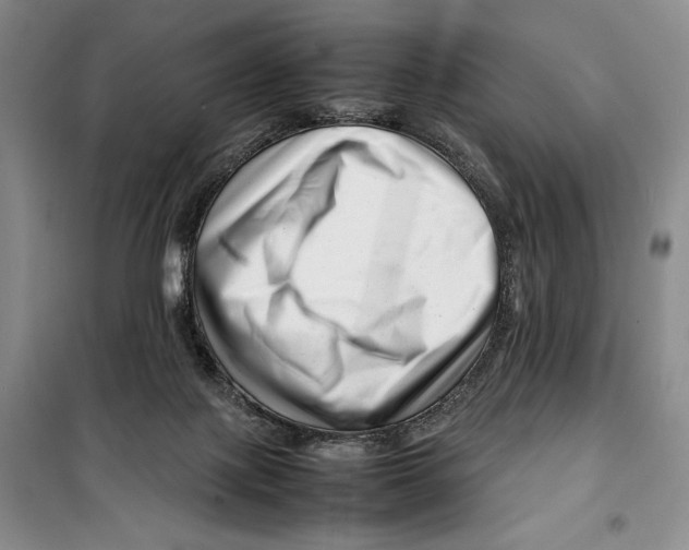 X0000099460075200806061139