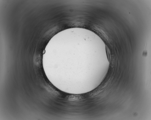 X0000099460077200806061139