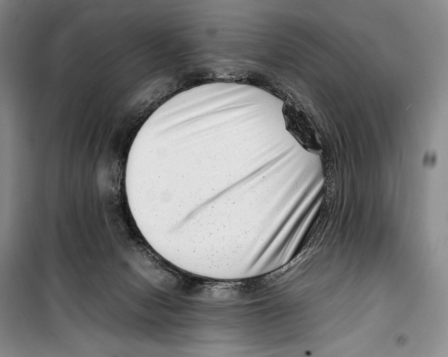 X0000099460078200806061139