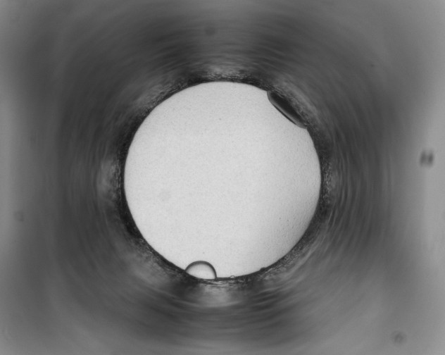 X0000099460079200806061139