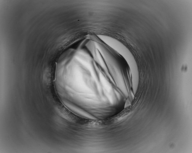 X0000099460080200806061139