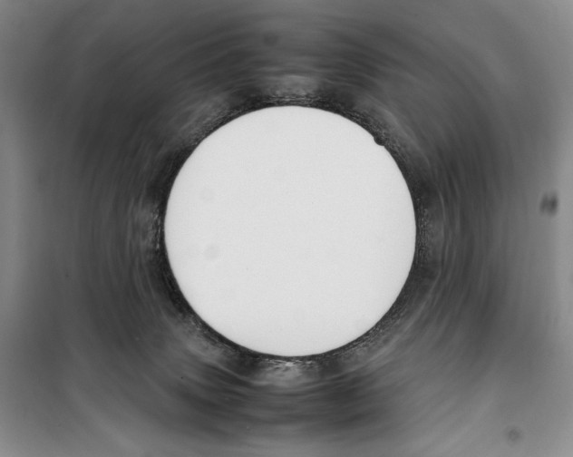 X0000099460083200806061139