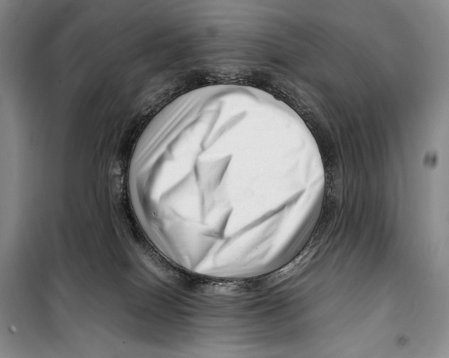 X0000099460086200806061139