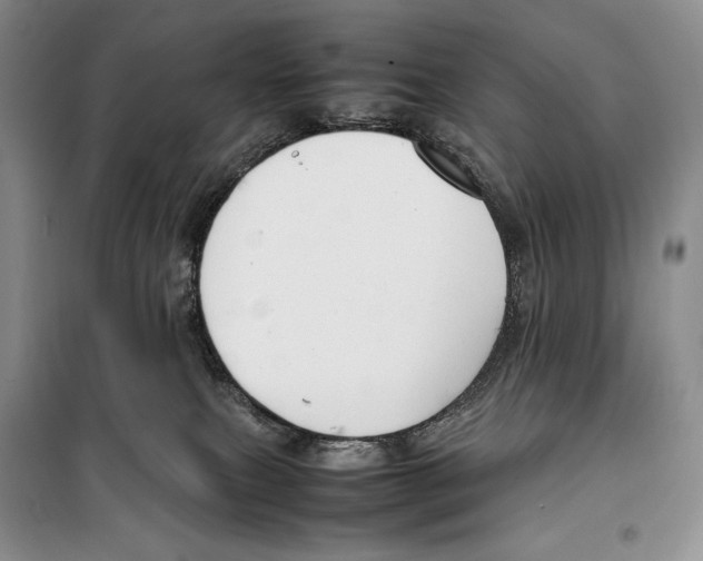 X0000099460087200806061139