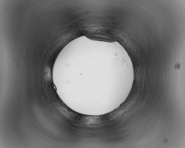 X0000099460089200806061139