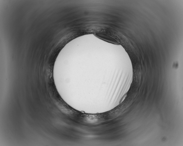 X0000099460091200806061139