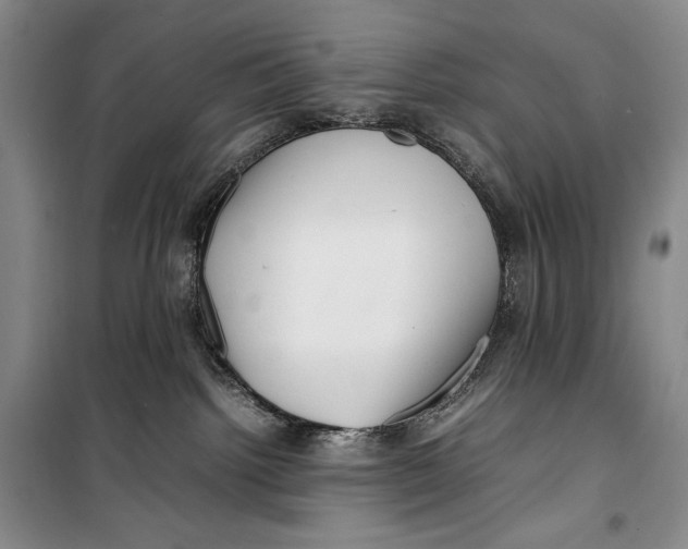 X0000099460092200806061139