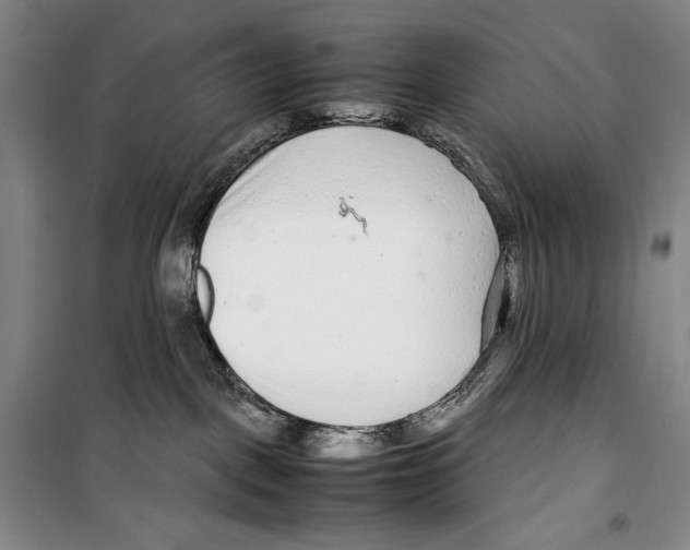 X0000099460093200806061139