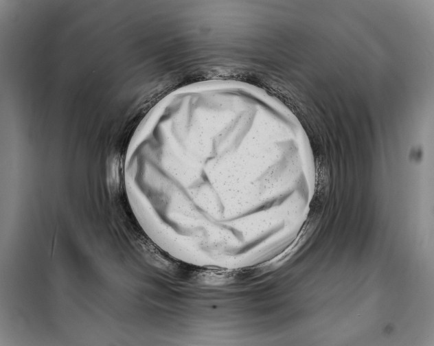 X0000099460094200806061139