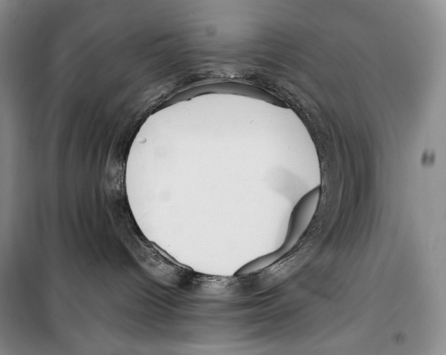 X0000099460096200806061139