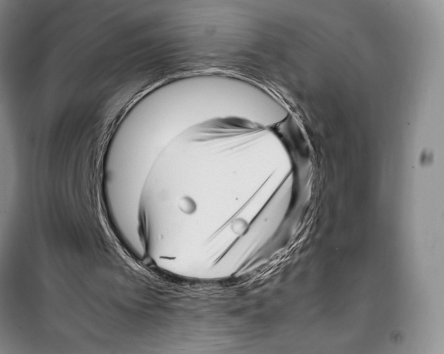 X0000099460097200806061138