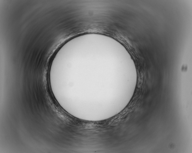 X0000099460098200806061138