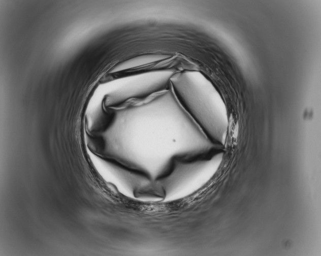 X0000099460099200806061138