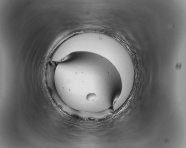 X0000099460101200806061138