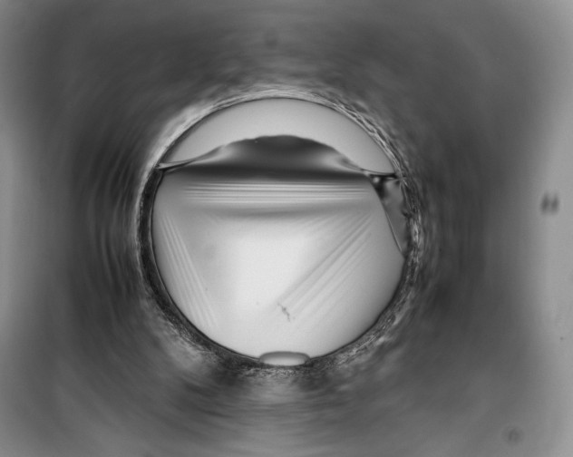 X0000099460104200806061138