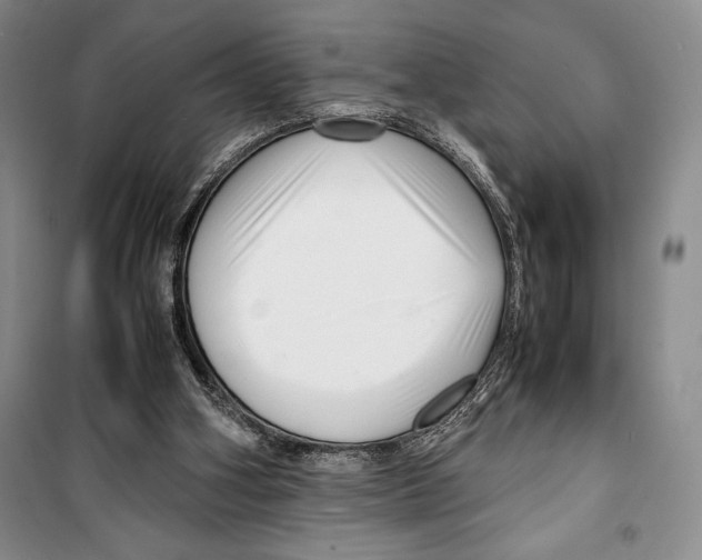 X0000099460106200806061138