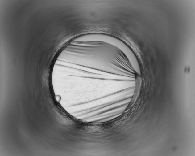 X0000099460107200806061138