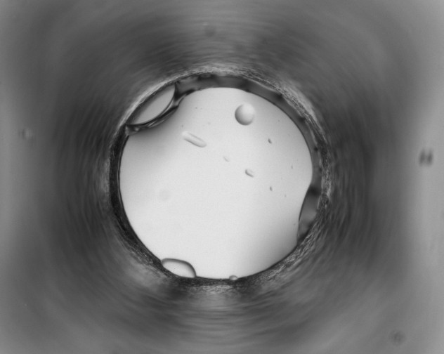 X0000099460108200806061138