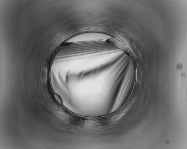 X0000099460109200806061138