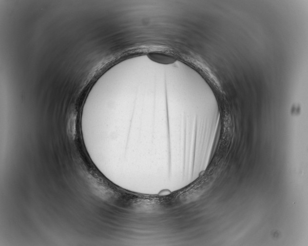 X0000099460110200806061138