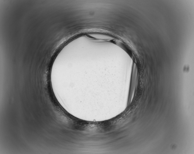 X0000099460111200806061138