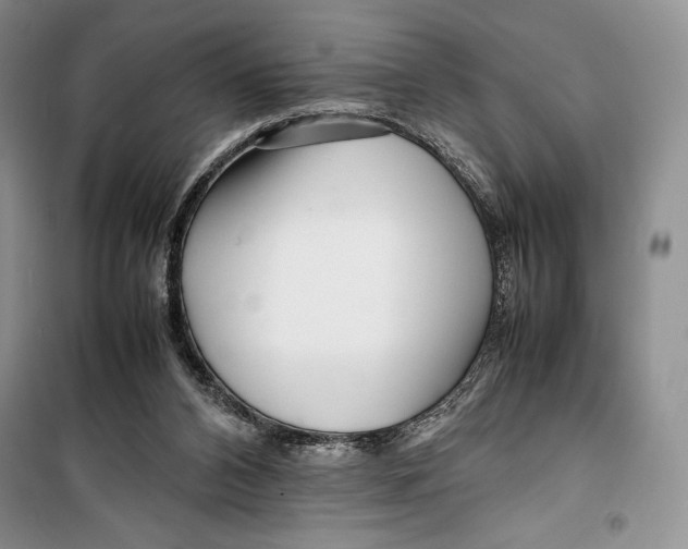 X0000099460112200806061138