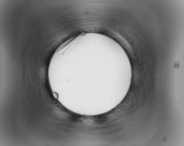 X0000099460113200806061138