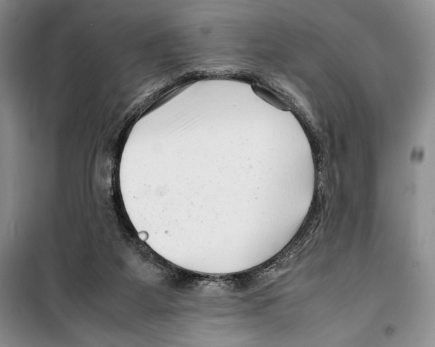 X0000099460115200806061138