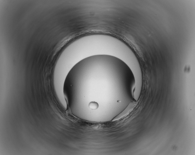 X0000099460116200806061138