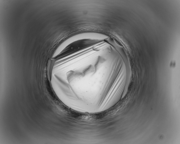 X0000099460117200806061138