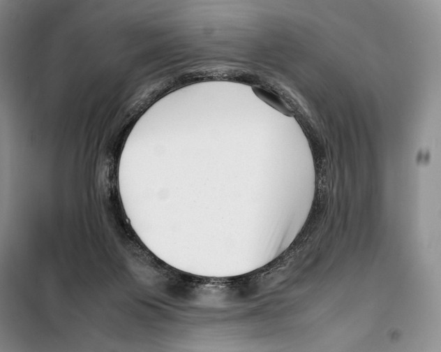 X0000099460119200806061138