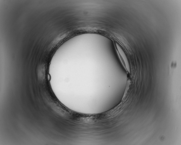 X0000099460120200806061138