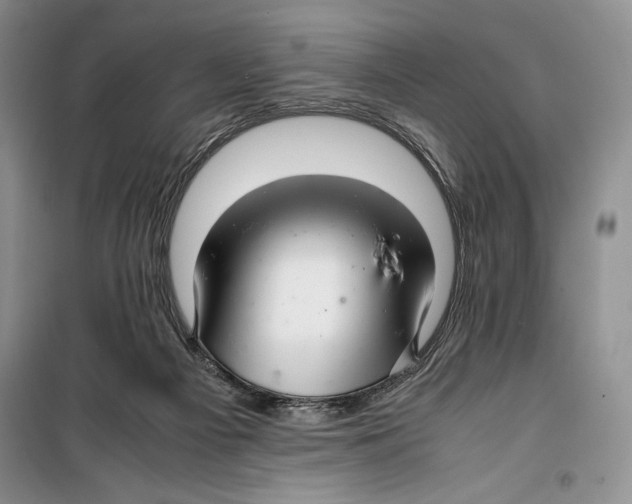 X0000099460121200806061138