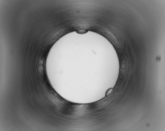 X0000099460122200806061138