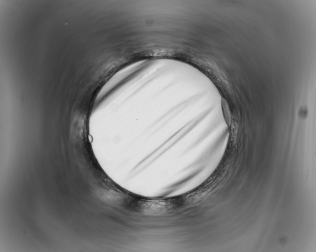 X0000099460123200806061138