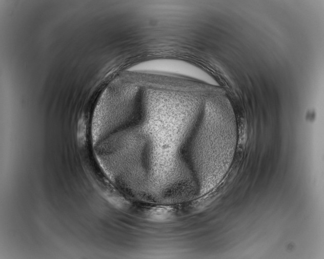 X0000099460124200806061138