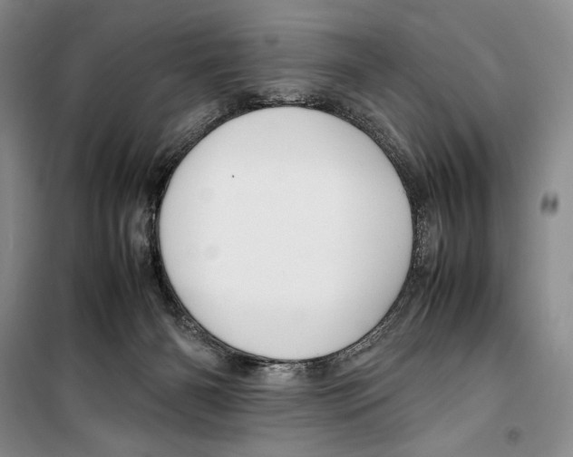 X0000099460126200806061138