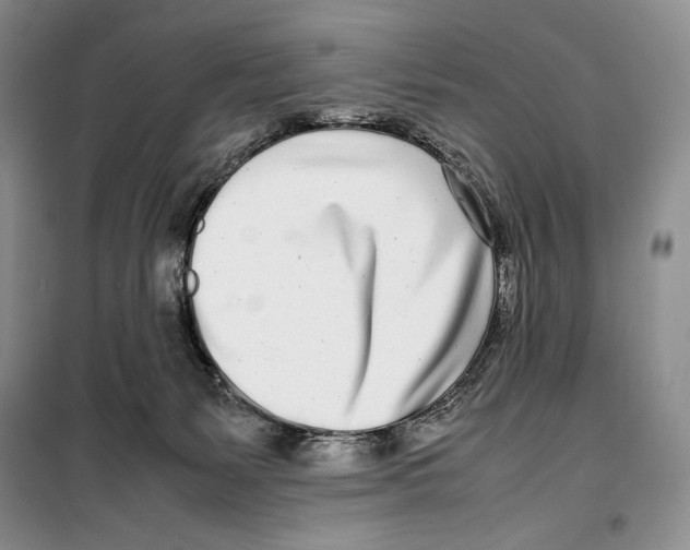 X0000099460127200806061138