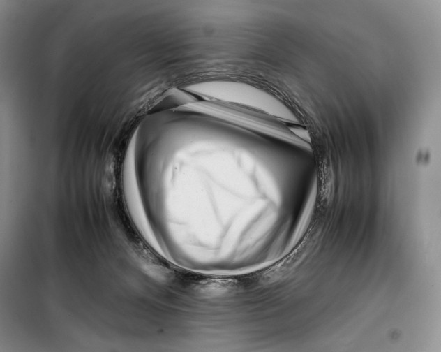 X0000099460128200806061138