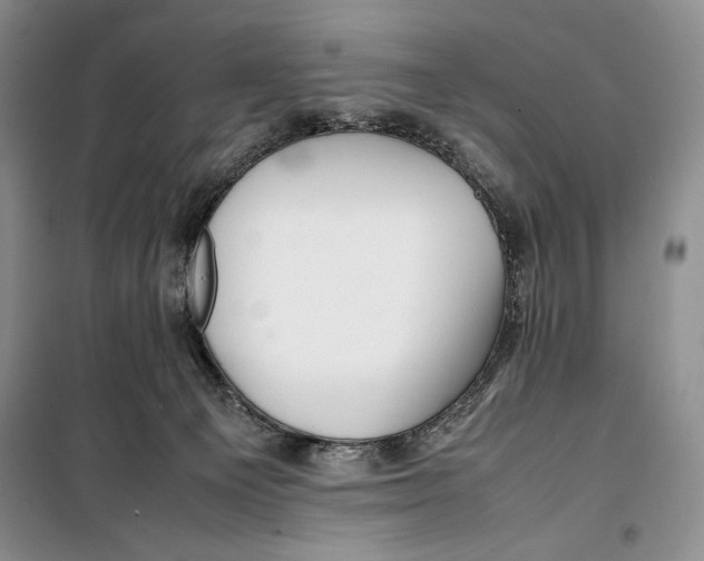 X0000099460129200806061138