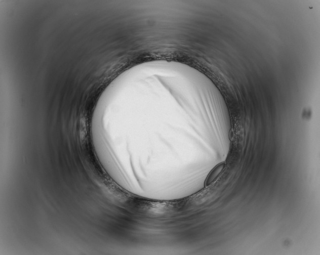 X0000099460130200806061138