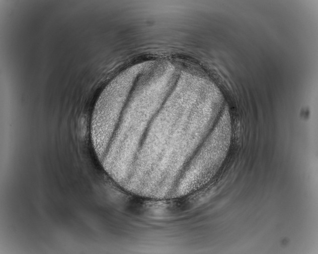 X0000099460131200806061138