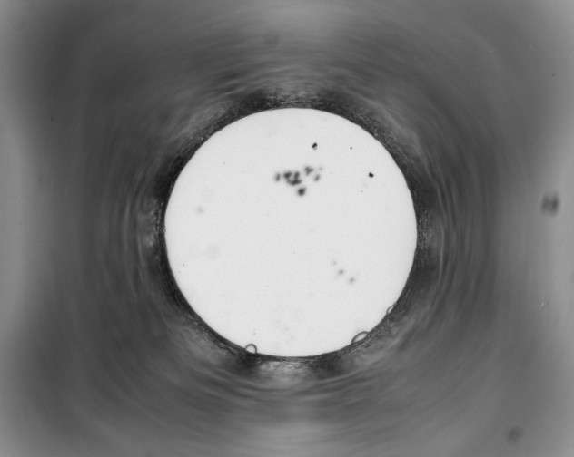 X0000099460133200806061138