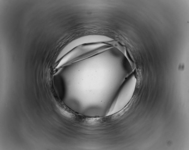 X0000099460136200806061138