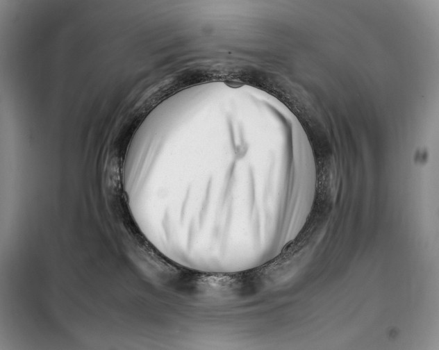 X0000099460137200806061138