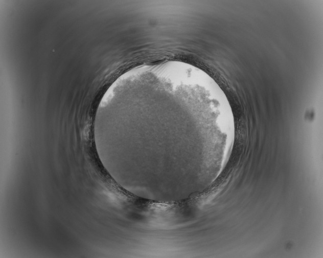 X0000099460139200806061138