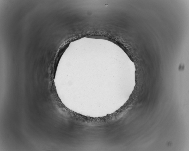 X0000099460144200806061138