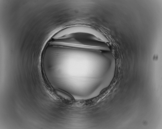 X0000099460148200806061137