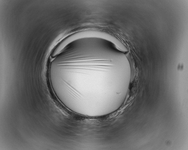 X0000099460150200806061137