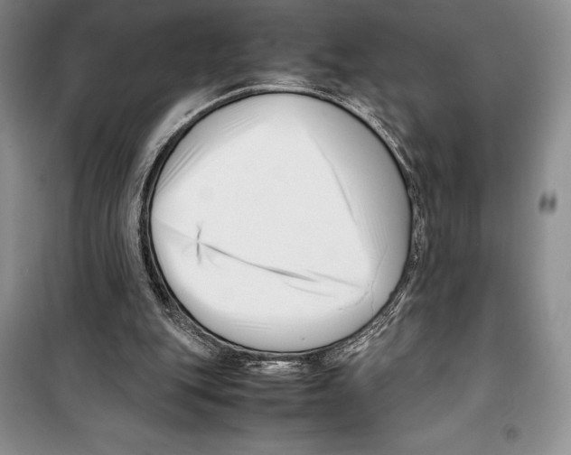 X0000099460151200806061137